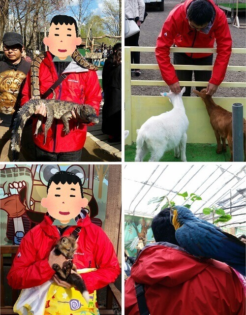 ノースサファリ 沢山の動物に触れる札幌の動物園 無料シャトルバス有り