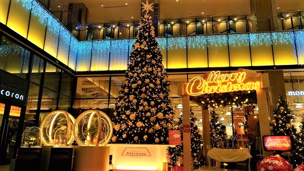 赤レンガテラス クリスマスツリー