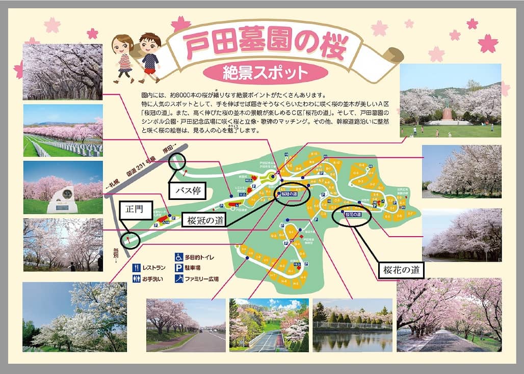 戸田記念墓地公園の桜 厚田は開花が遅い 見頃と混雑回避方は