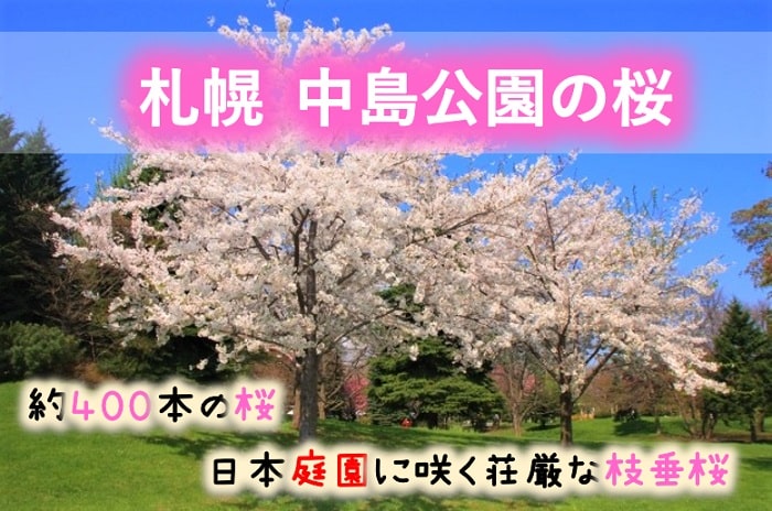 桜の名所 中島公園の見頃はいつ 駐車場や駅を使ったアクセス情報