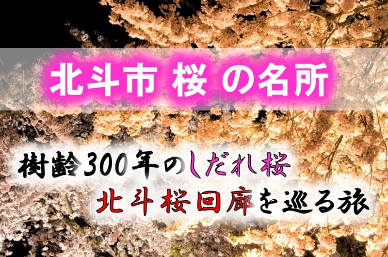北斗市 桜の名所