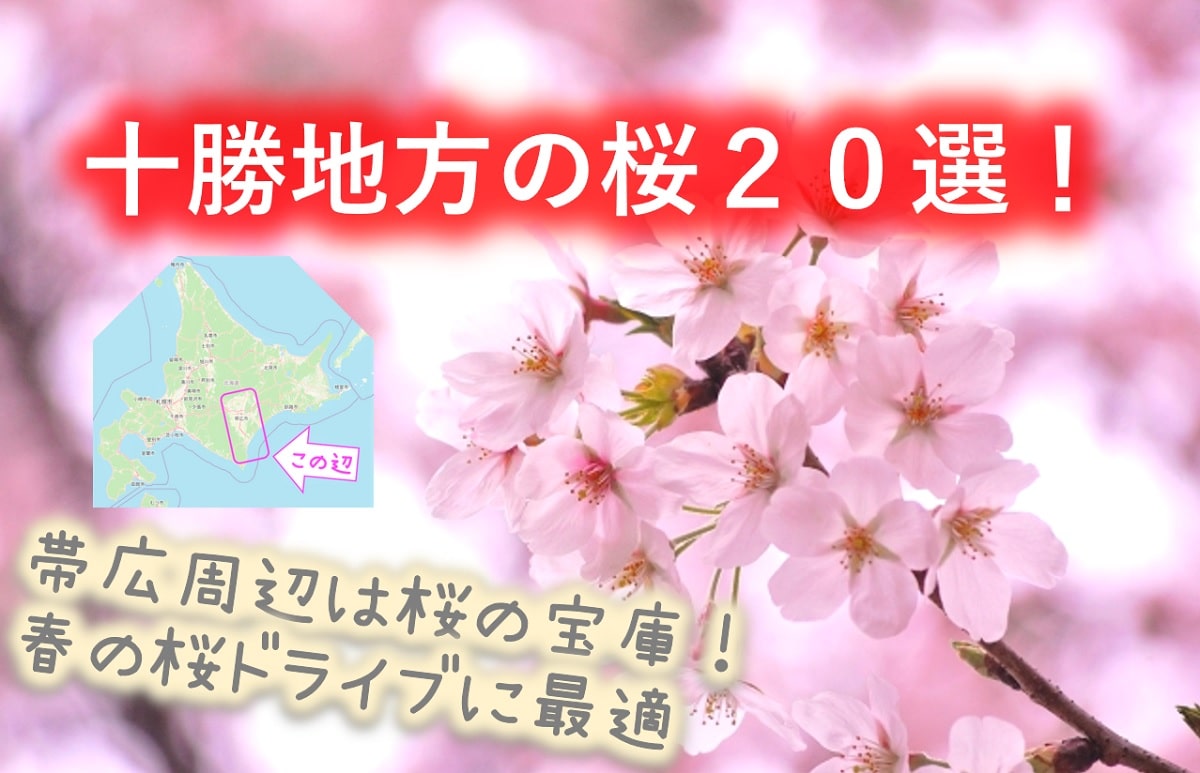 十勝地方桜選 帯広周辺市町村には名所や穴場が沢山