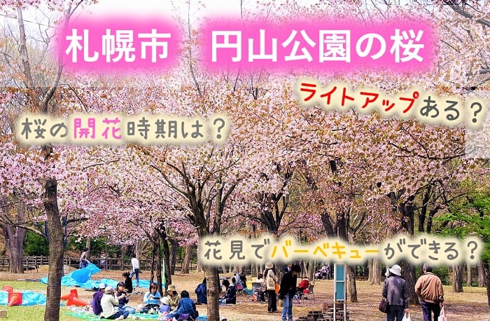 円山 公園 桜