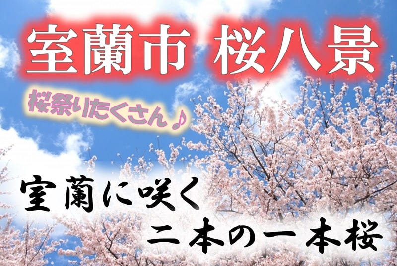 室蘭市 桜八景 桜祭りやライトアップがある 桜の名所に行こう