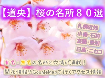 十勝地方桜選 帯広周辺市町村には名所や穴場が沢山