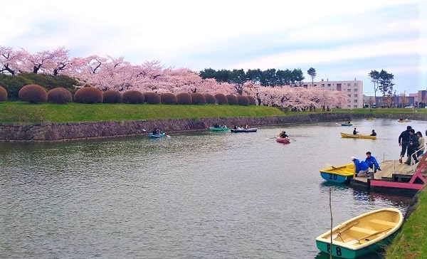 五稜郭公園 函館桜の名所 見頃とライトアップいつ 駐車場は