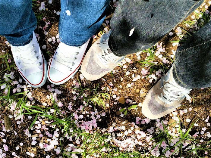 新川桜並木 札幌桜の名所 日本一と言われる３つの見所 距離10 以上