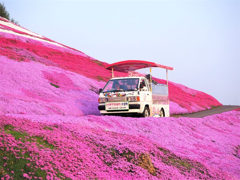 ロット 額装写真 堀町政明 オリジナルプリント ひがしもこと芝桜公園 北海道 網走郡大空町 通常サイズ 426 336mm Apa4 Hm 風景カレンダーの写真工房ストア 通販 Yahoo ショッピング アートフォ