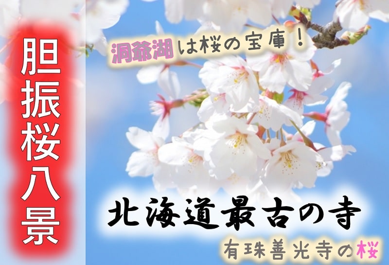 胆振桜八景 苫小牧 洞爺湖の開花情報 おすすめの穴場は 桜並木はどこ