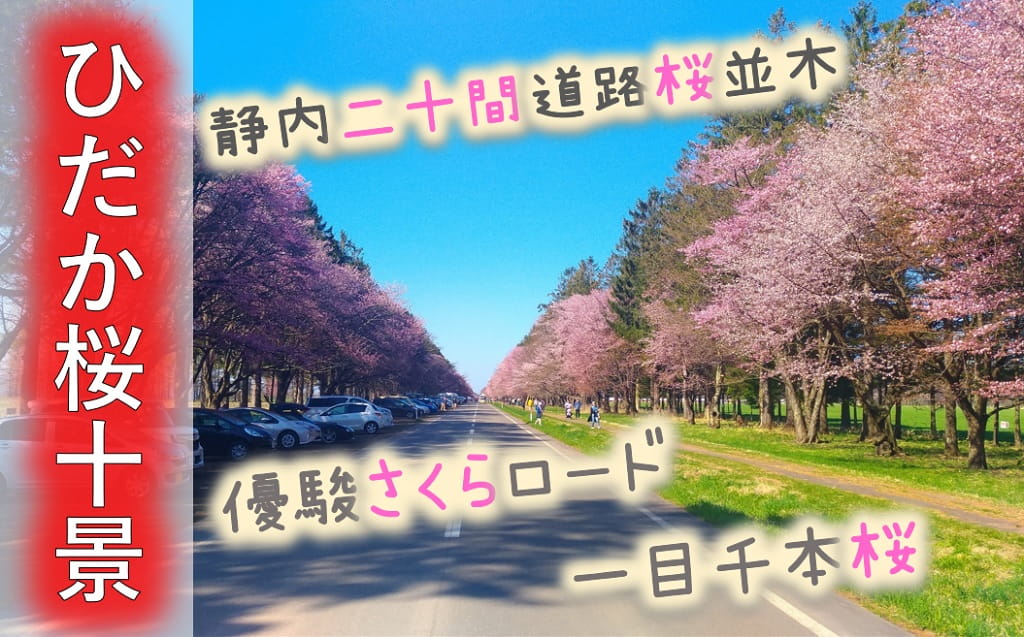 日高桜十景 桜の名所がわかる 静内 登別 浦河の開花情報は 桜祭り 見頃は アクセス情報満載