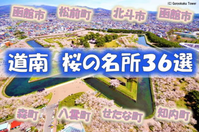 道南　桜の名所　函館市、北斗市、松前町、森町、八雲町