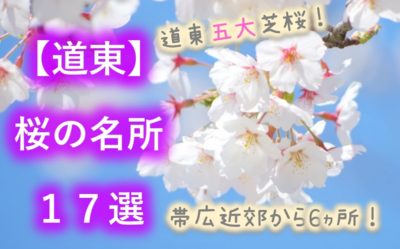 十勝地方桜選 帯広周辺市町村には名所や穴場が沢山