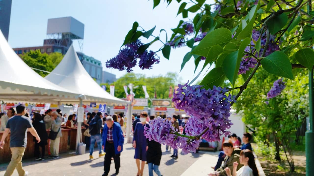 札幌ライラック祭り19の時間と期間は 吹奏楽とワインを楽しむ祭り