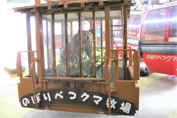 登別クマ牧場で共食い 脱走事件があった クーポンや割引はある 懐かしのcmが見れる