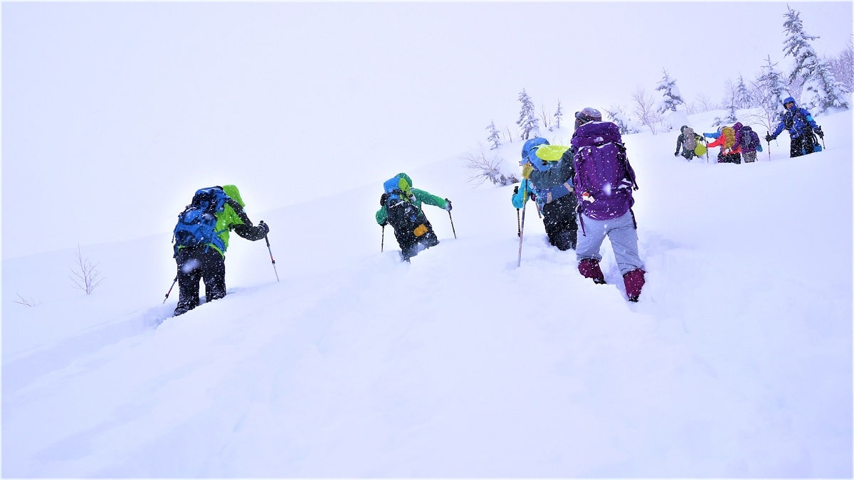 スノーシュー　北海道のおすすめ