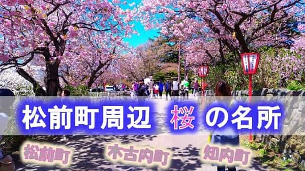 松前・木古内・知内の桜