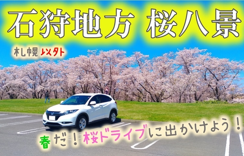 石狩地方桜八景 札幌近郊で最高の桜 戸田記念墓地公園 など名所