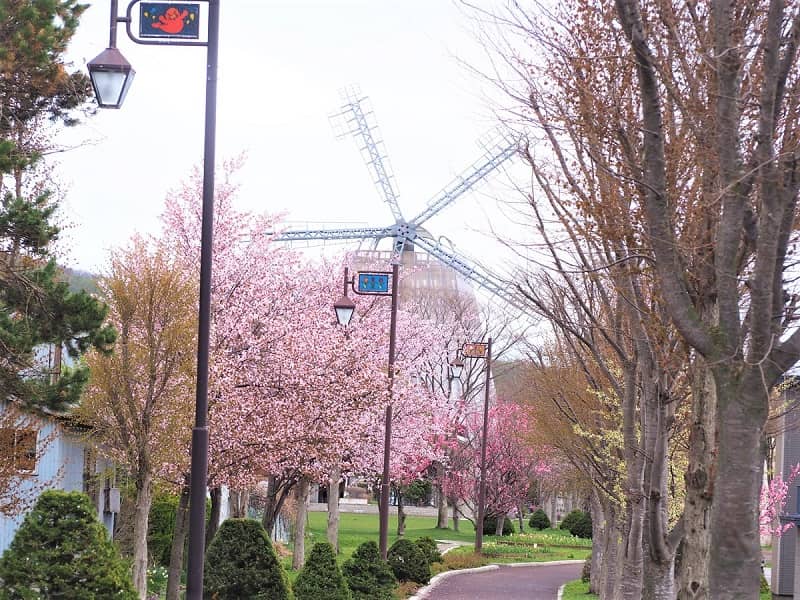 北海道檜山地方の桜スポットが超穴場！絶景・グルメ・秘湯満載で函館 