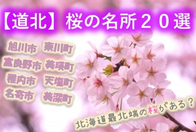 十勝地方桜選 帯広周辺市町村には名所や穴場が沢山